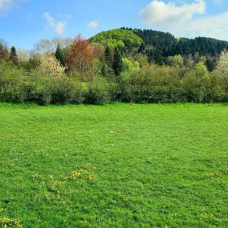 Dom wakacyjny Alpentraum Willingen-winterberg *